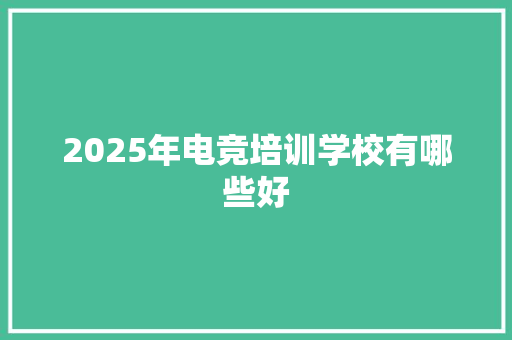 2025年电竞培训学校有哪些好 计算机论文