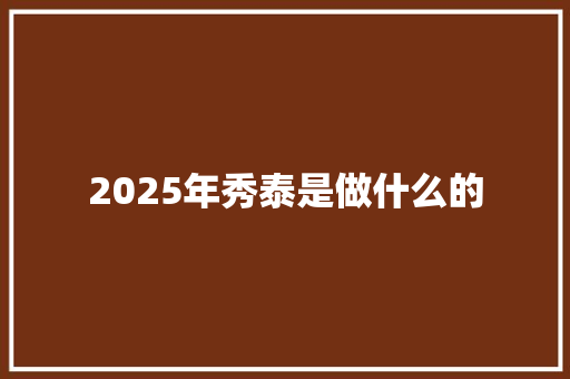 2025年秀泰是做什么的 管理论文