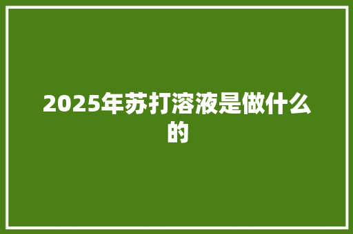 2025年苏打溶液是做什么的 条剧书信