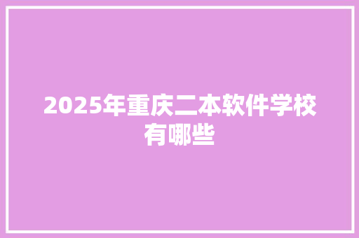 2025年重庆二本软件学校有哪些 办公写作
