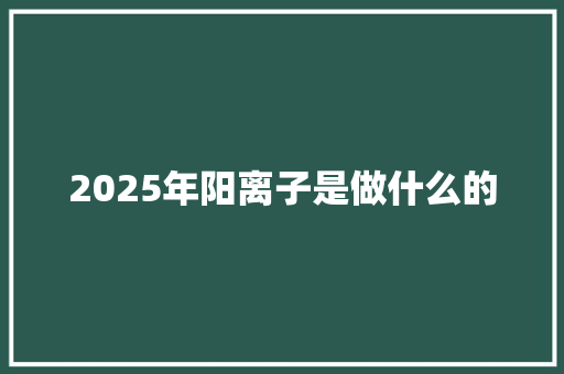 2025年阳离子是做什么的 保证书