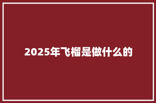 2025年飞榴是做什么的 公证书