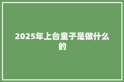 2025年上台童子是做什么的 简历资料