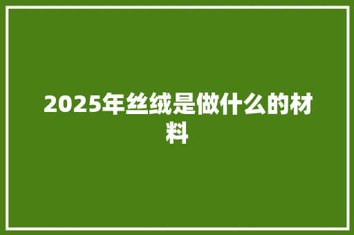 2025年丝绒是做什么的材料 担保书