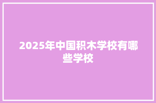 2025年中国积木学校有哪些学校 个人写作