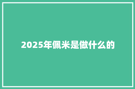 2025年佩米是做什么的 个人写作