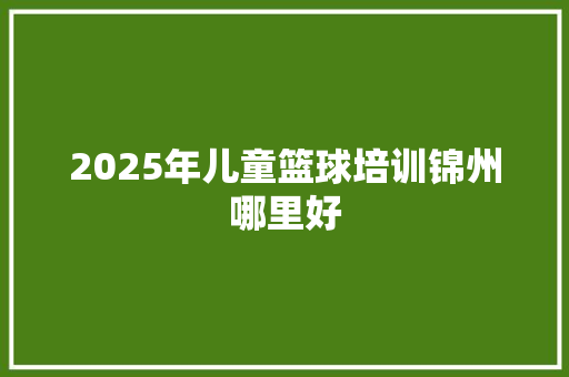 2025年儿童篮球培训锦州哪里好 担保书
