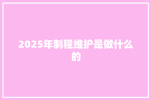 2025年制程维护是做什么的 计算机论文