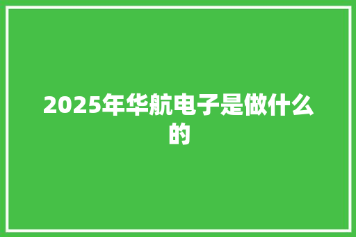 2025年华航电子是做什么的 担保书