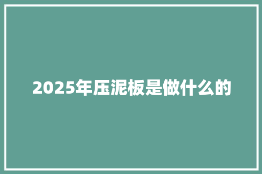 2025年压泥板是做什么的 公证书