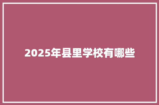 2025年县里学校有哪些 办公写作