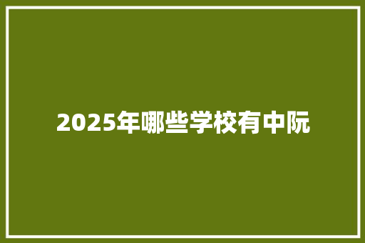 2025年哪些学校有中阮 社会论文
