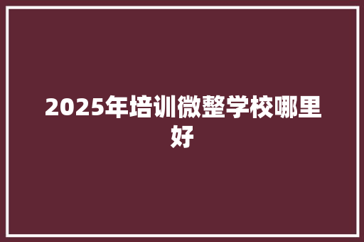 2025年培训微整学校哪里好 保证书
