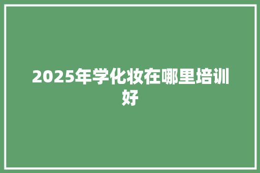 2025年学化妆在哪里培训好 教育论文