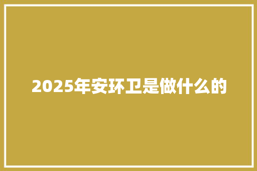 2025年安环卫是做什么的 文秘写作