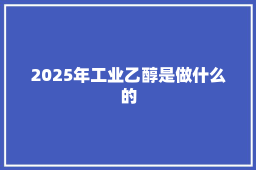 2025年工业乙醇是做什么的 个人简历