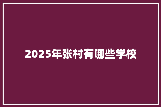 2025年张村有哪些学校 论文