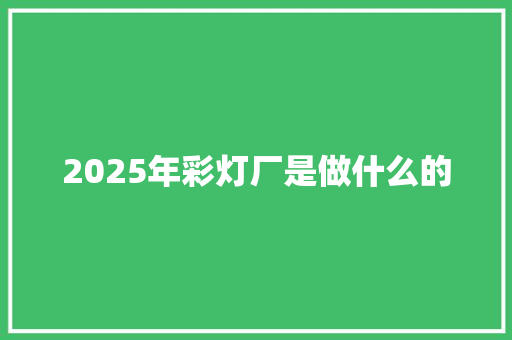 2025年彩灯厂是做什么的 办公写作