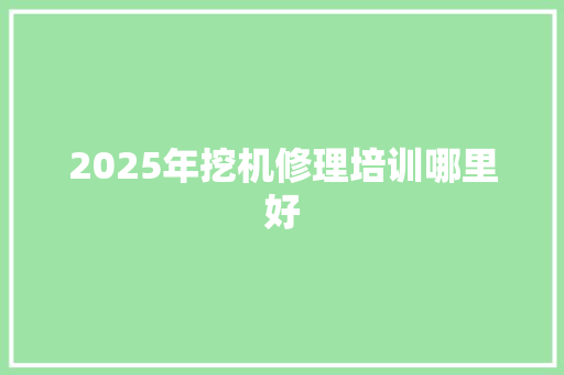 2025年挖机修理培训哪里好 办公写作
