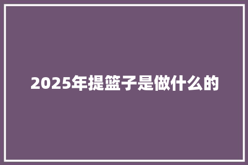 2025年提篮子是做什么的 文秘写作