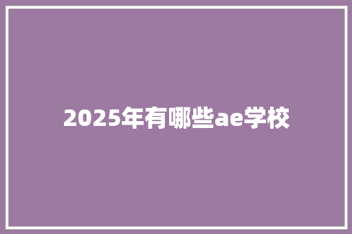 2025年有哪些ae学校 毕业设计