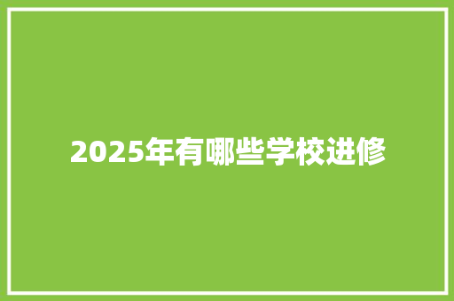 2025年有哪些学校进修 简历