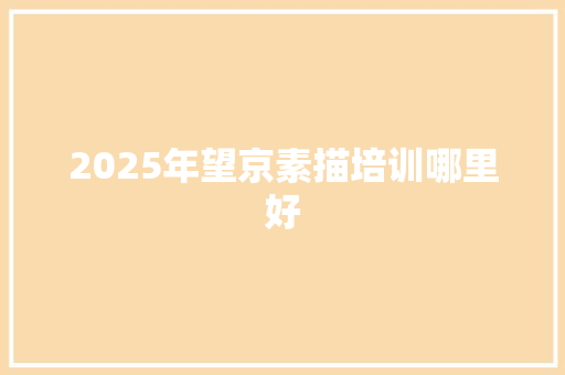 2025年望京素描培训哪里好 办公写作