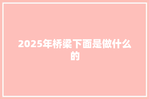 2025年桥梁下面是做什么的 英文简历