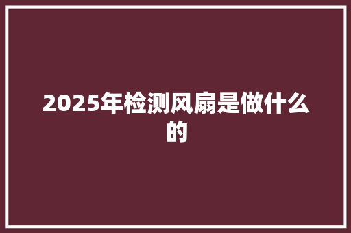 2025年检测风扇是做什么的 文秘写作