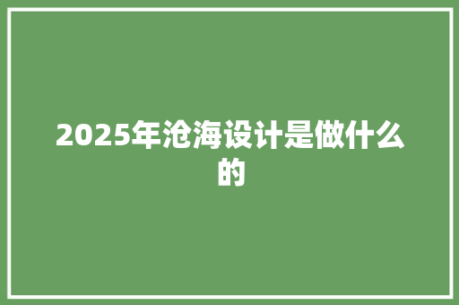 2025年沧海设计是做什么的 论文