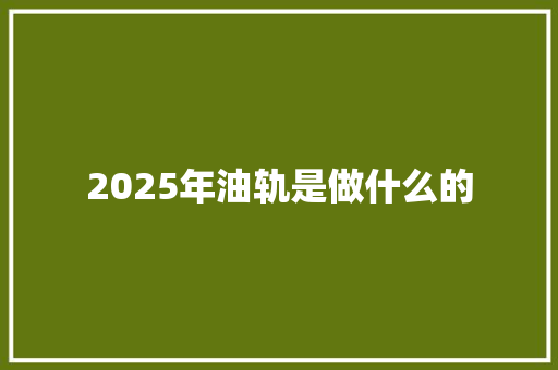 2025年油轨是做什么的 担保书