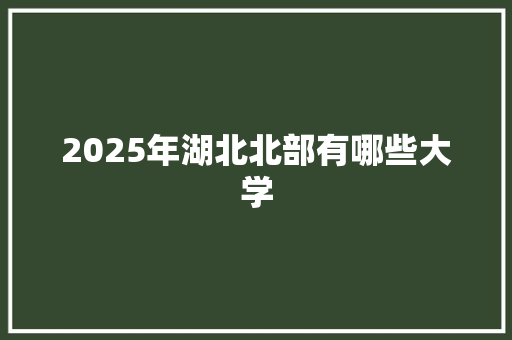 2025年湖北北部有哪些大学 社会论文