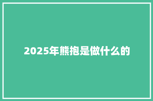 2025年熊抱是做什么的 毕业设计