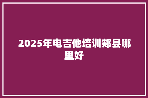 2025年电吉他培训郏县哪里好 简历资料