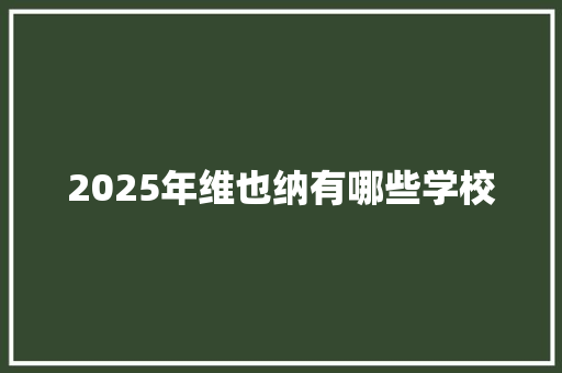 2025年维也纳有哪些学校 文秘写作