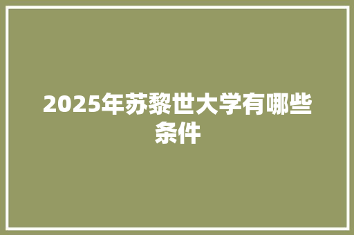 2025年苏黎世大学有哪些条件 英文简历