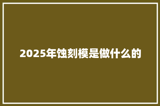 2025年蚀刻模是做什么的 英文简历
