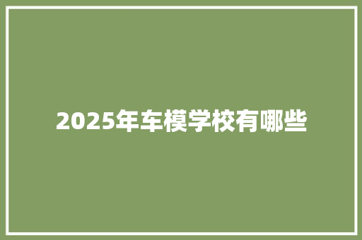 2025年车模学校有哪些 论文