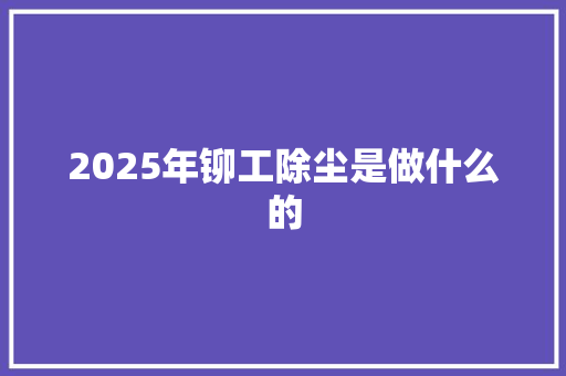 2025年铆工除尘是做什么的 个人简历