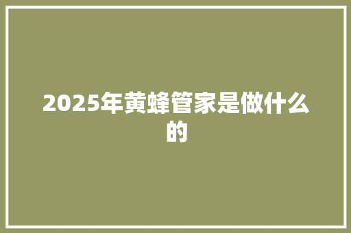 2025年黄蜂管家是做什么的 英文简历