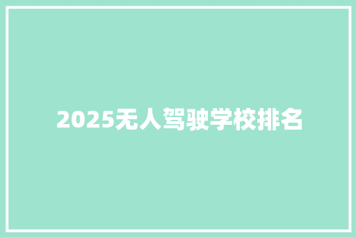 2025无人驾驶学校排名 策划方案