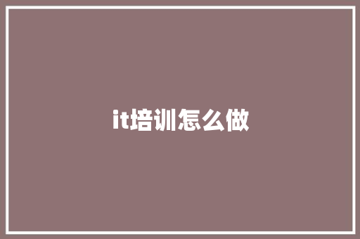it培训怎么做 社会论文