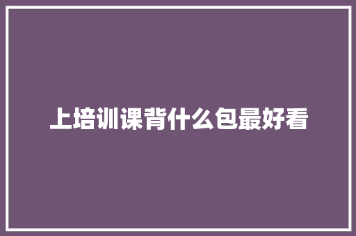 上培训课背什么包最好看 管理论文