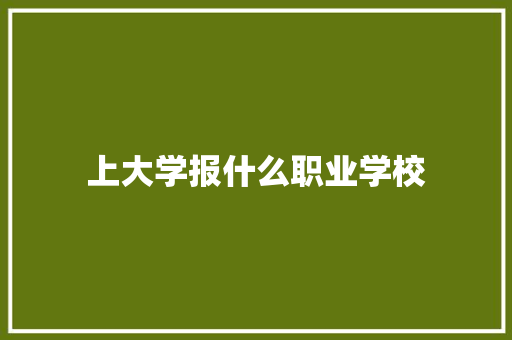 上大学报什么职业学校 保证书