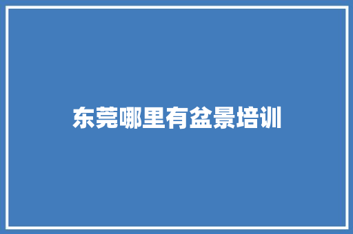 东莞哪里有盆景培训 计算机论文