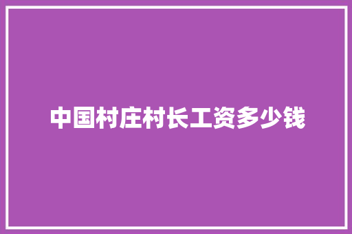 中国村庄村长工资多少钱 简历资料