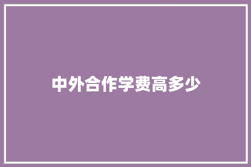 中外合作学费高多少 个人简历