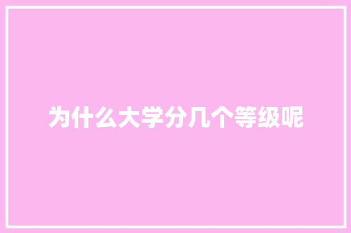 为什么大学分几个等级呢 个人写作