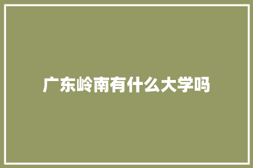 广东岭南有什么大学吗 英文简历