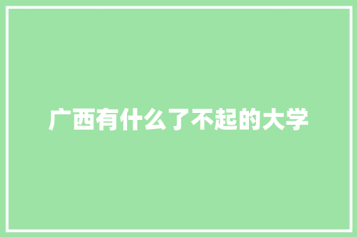 广西有什么了不起的大学 论文